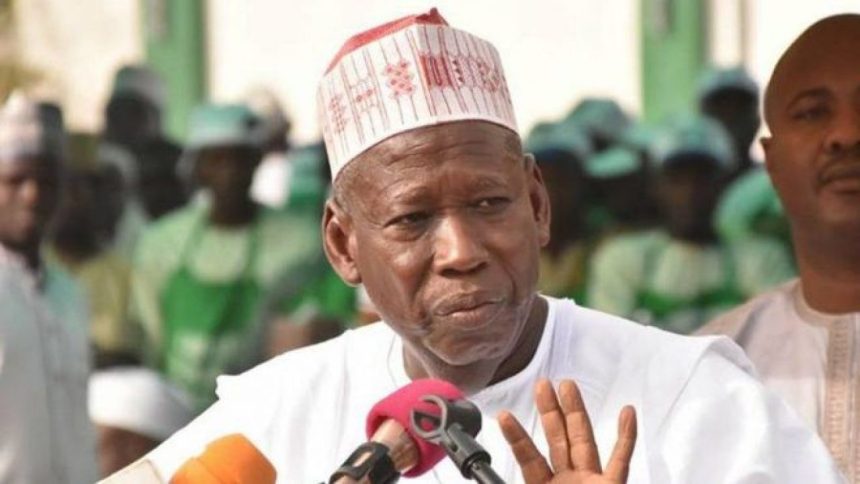 Stop intimidating opposition, Kano NNPP chair tells Ganduje 