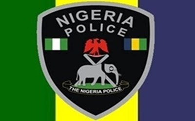 Police arrest suspected armed robber in Imo