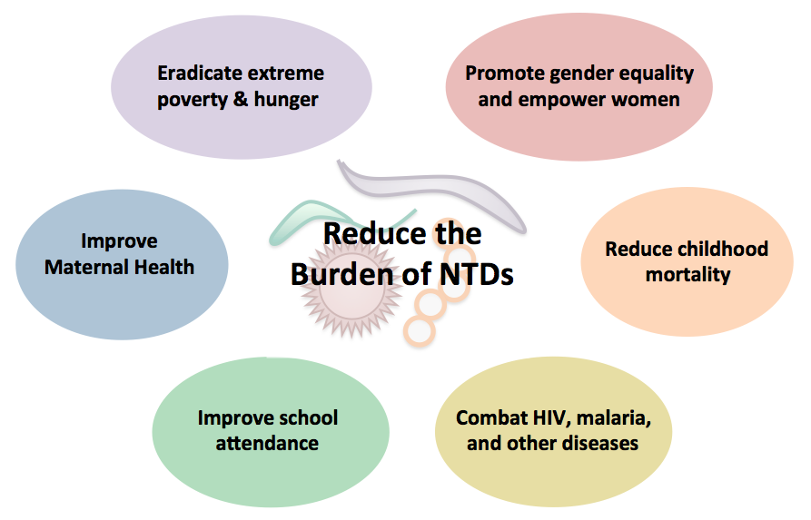 Over 4.7m Anambra residents treated for NTDs in 2022 – Commissioner