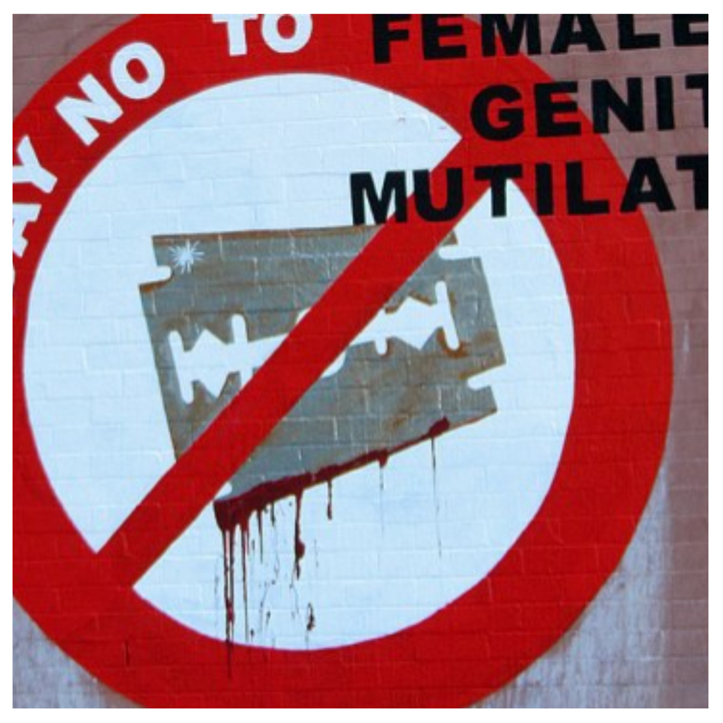 Female genital mutilation attracts five-year jail term, activist warns