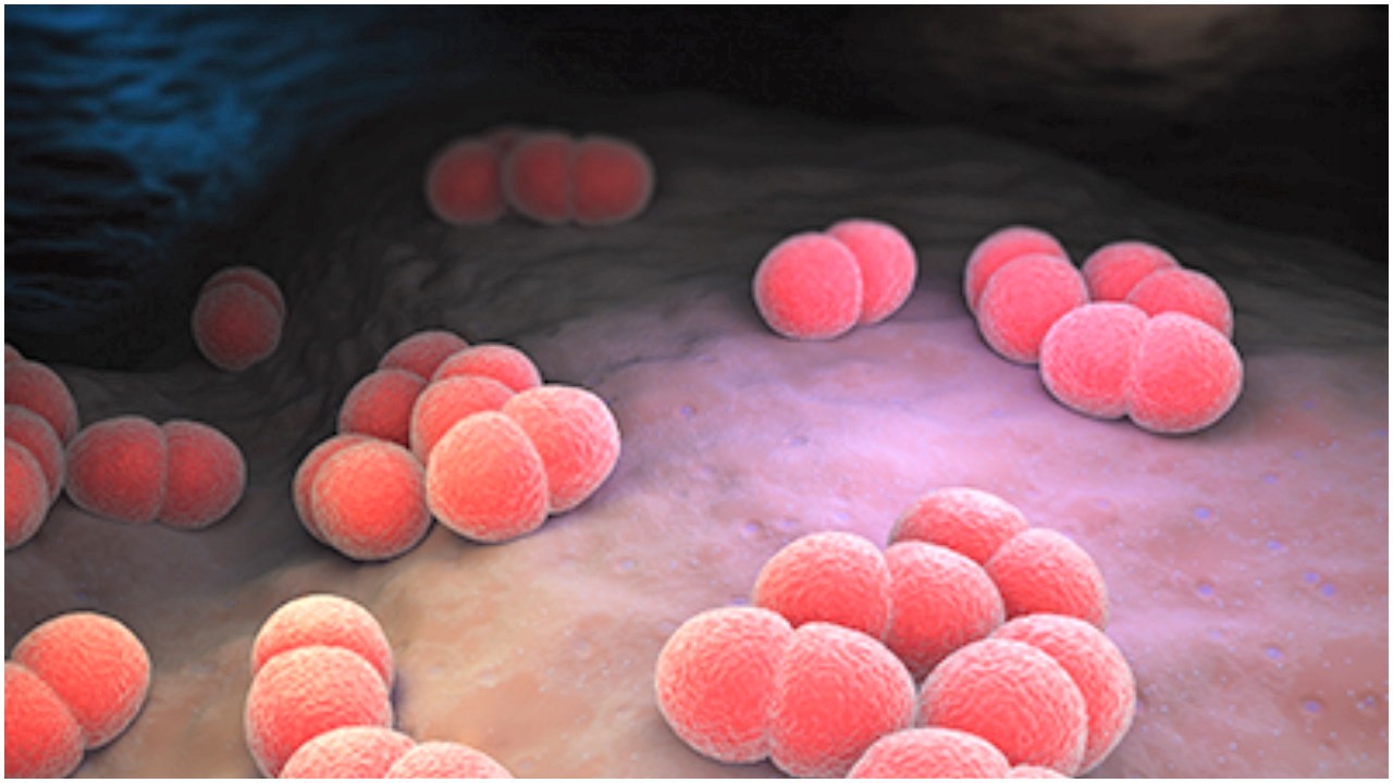 Meningitis kills 38 in Jigawa