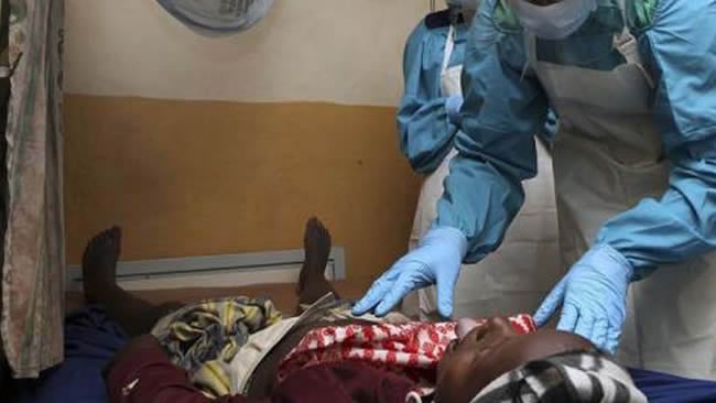 Lassa fever kills 142 in 11 weeks