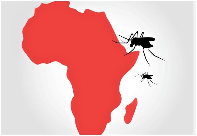  Countries must set up resilient healthcare system to tackle malaria – Expert