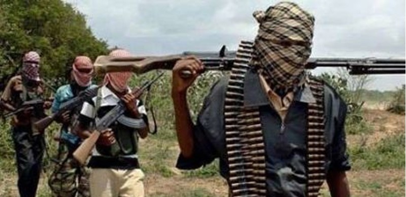 Bandits kill nine farmers in Kaduna