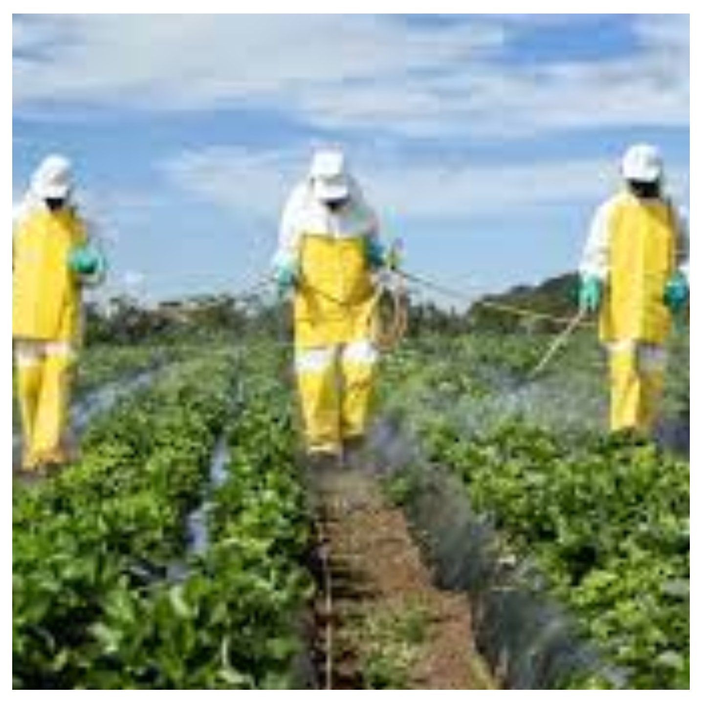 CSOs call for robust legislation to regulate pesticides, chemical inflow